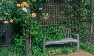 10 góc thư giãn ngoài sân nhỏ mà có võ chỉ nhìn cũng thấy mọi mệt mỏi được xua tan