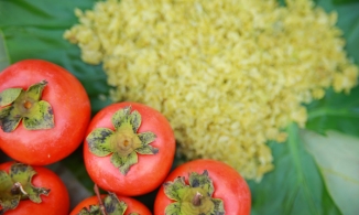 Những đặc sản mùa thu Hà Nội không thể bỏ qua khi gió heo may về