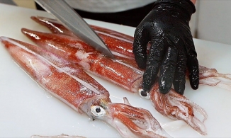 Trung Quốc phát hiện Covid-19 trên đồ đông lạnh nhập khẩu