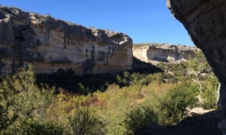 Xác ướp 1.400 năm tuổi qua đời vì táo bón sau thời gian dài ăn châu chấu