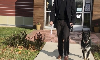 Chó cưng của Tổng thống Joe Biden sẽ được tổ chức lễ nhậm chức riêng