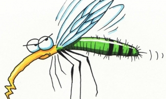 Phát hiện mới: Mặc màu đỏ dễ bị muỗi đốt hơn