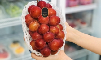 5 loại nho tiền triệu, tuy đắt đỏ nhưng rất đã ăn thử rất dễ 'ghiền'