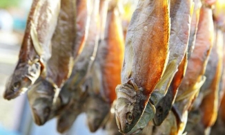 Hiểu như thế nào về thực phẩm gây ung thư cấp độ một?