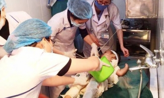 Bé trai 31 tháng tuổi nhiễm trùng nặng do dùng nước mắm và rượu chữa bỏng