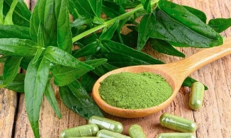 Xuyên tâm liên là gì? Xuyên tâm liên chứa chất gì mà phòng ngừa được Covid?