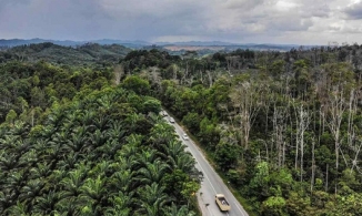 Indonesia dời đô từ Jakarta sang đảo Borneo