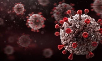 Người mắc Covid-19 có hết hoàn toàn SARS-CoV-2 trong cơ thể hay không?