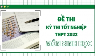 Đề thi THPT Quốc gia năm 2022 môn Sinh học chính thức (đang cập nhật tất cả các mã đề)
