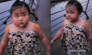 Video bé gái động viên bố không cần giảm cân thu hút triệu view