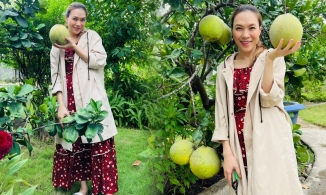 Mỹ Tâm đăng ảnh đi hái bưởi, fan rần rần 'sao giống người có bầu quá trời'