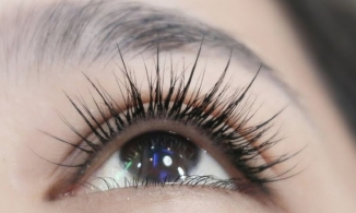 Gợi ý các kiểu nối mi phù hợp với mắt 