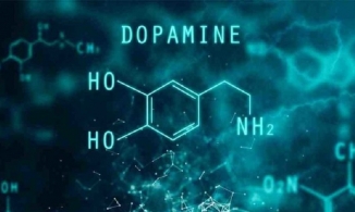 Dopamine là gì và những bí quyết giúp tăng hormone hạnh phúc