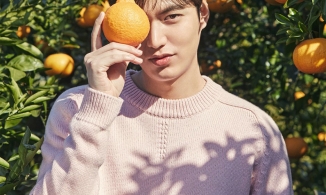 Quýt Hallabong, loại quả được xem là quốc bảo của Hàn Quốc 