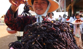 5 đặc sản kinh dị của Đông Nam Á, Việt Nam có đến 4 món trong danh sách