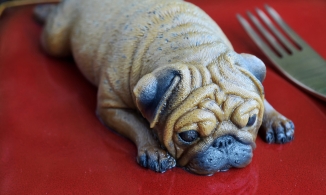 Mẹ khéo tay làm bánh ngọt quá giống cún thật, con gái... từ chối ăn