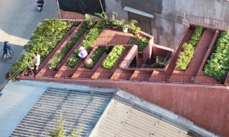 Ngắm ngôi nhà 7 bậc thang trồng rau trên mái ở Quảng Ngãi vừa đoạt giải kiến trúc quốc tế