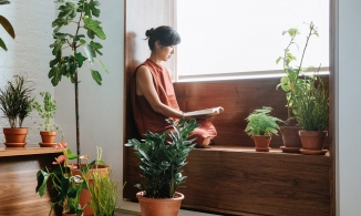 Ghế băng cửa sổ, góc chill cho những kẻ mộng mơ có nơi 'trú ẩn' an yên ngay ở nhà