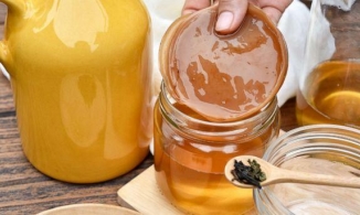 Kombucha - nấm thuỷ sâm trong trà: Nguyên liệu dưỡng nhan tiềm năng của ngành mỹ phẩm 