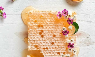 Nước ấm pha mật ong: Bí quyết để có một cơ thể khoẻ mạnh 