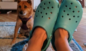 Vì sao từ 'con ghẻ' của giới thời trang, Crocs trở thành trào lưu giới trẻ?