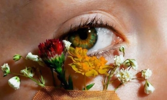 Hãy ăn thịt để sở hữu hàng mi dài cong vút