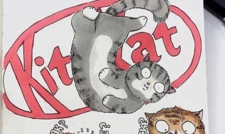 Những thương hiệu xa xỉ trong mắt cô nàng yêu mèo