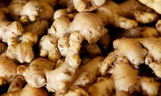 Giảm mỡ bụng hiệu quả hậu Tết Tân Sửu với gừng ngâm rựơu 