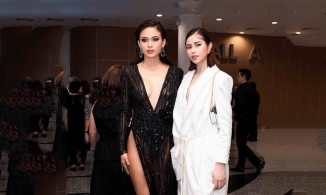 Mỹ nhân Việt và những lần 'mạo hiểm' với váy xẻ cao, đường cut táo bạo