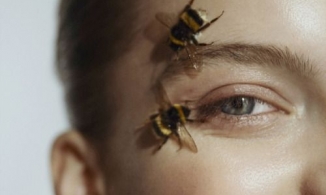 Cách sử dụng mật ong cho da dầu (nhờn) hiệu quả