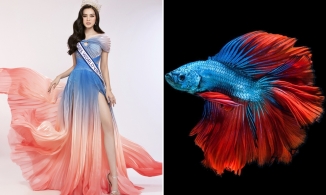 Trước thềm Halloween, Đỗ Thị Hà ẩn ý gì khi 'cosplay' một chú cá chọi cực kỳ xinh đẹp?