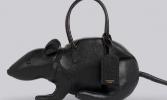 Tin được không, 'chú chuột' này có giá ngàn đô?