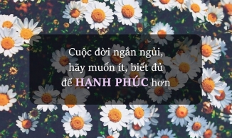 Ước gì có một ngày mình thôi lo lắng, thôi sân si và biết đủ