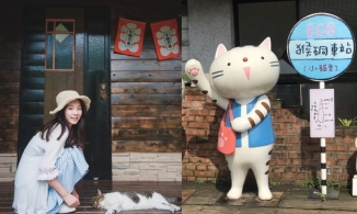 Làng mèo Hầu Động, thiên đường dành cho team yêu mèo tại Đài Loan