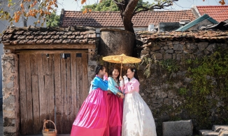 Cây hồng trăm tuổi ở Ninh Bình, điểm check-in mới nổi nhờ bối cảnh như Hàn Quốc