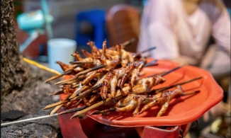 7 quán chân gà nướng “nhắc là thèm” trong những ngày đông rét của Hà Nội