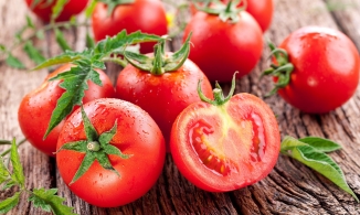 Bí quyết chọn và bảo quản cà chua để lúc nào cũng có cà chua tươi ngon, nấu gì cũng tiện