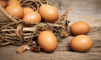 4 cách bảo quản trứng không dùng tủ lạnh mà để cả tháng cũng không lo hỏng