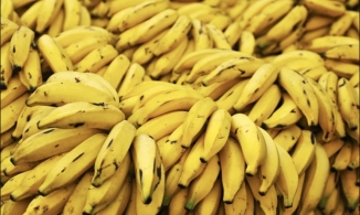 4 dấu hiệu nhận biết chuối chín ép do có hoá chất