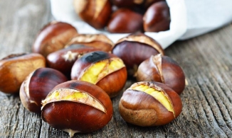 3 mẹo bóc hạt dẻ nhanh hiệu quả, chỉ vài phút là có hạt dẻ chế biến thức ăn