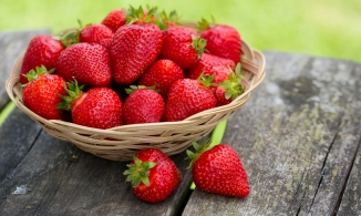 3 cách bảo quản dâu tây chuẩn để dâu tây luôn mọng nước, thơm nức như mới hái
