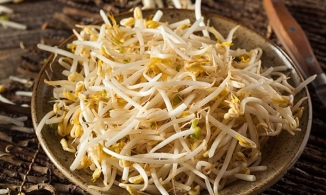 4 dấu hiệu nhận biết giá đỗ bị ngâm hoá chất bạn nên biết mà tránh khi chọn mua