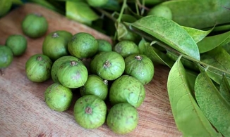 3 cách bảo quản sấu đơn giản để sấu tươi để cả năm vẫn ngon