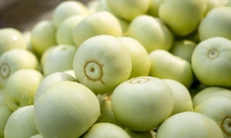 5 mẹo chọn dưa lê giúp bạn mua được dưa lê ngọt thơm đến miếng cuối cùng