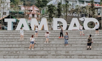 4 điểm check-in đẹp quên lối về khi đến Tam Đảo nhất định nên đến thăm thú