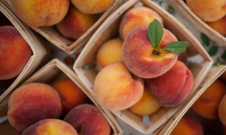 5 mẹo chọn đào ngon mà bạn nên biết để quả nào quả nấy tươi, giòn sần sật