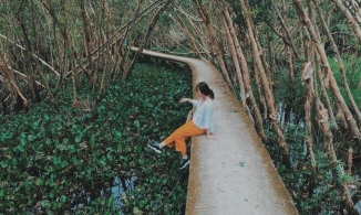 3 rừng tràm đẹp ở miền Tây, cứ đến mùa nước nổi là “mê quên lối về”