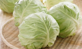 5 mẹo chọn bắp cải tươi ngon, chắc nịch, đảm bảo không phun thuốc