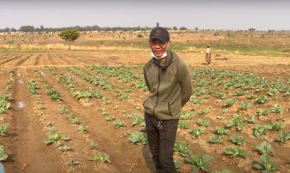 Quang Linh Vlogs ngày làm nông dân, tối làm anh nhân viên văn phòng