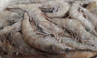 Mẹo luộc tôm đông lạnh thơm ngọt, chắc thịt không kém tôm tươi, lại tiết kiệm tiền chợ